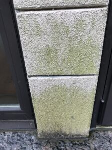 Stucco cleaning near me