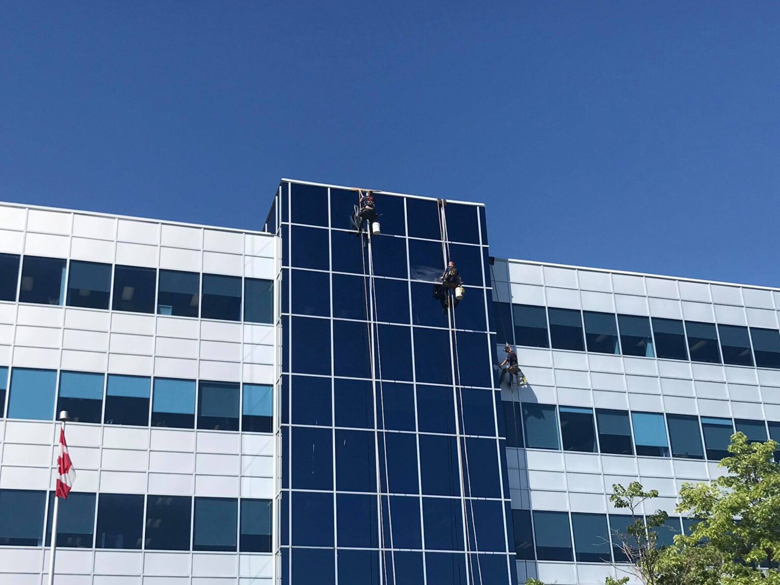 Ottawa Window Cleaners | 613-691-1400 | Performance Window Cleaning